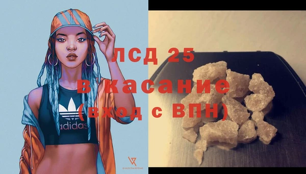 сатива Новозыбков