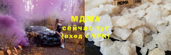 сатива Новозыбков