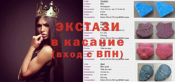 сатива Новозыбков