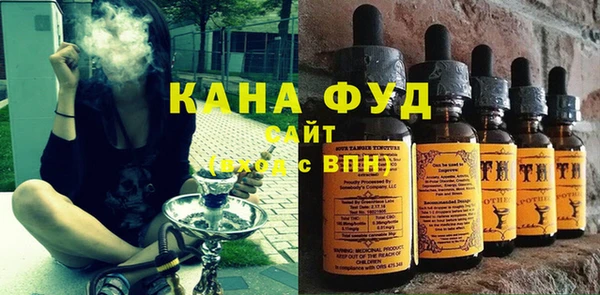 сатива Новозыбков