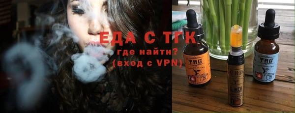 сатива Новозыбков