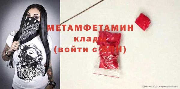 сатива Новозыбков