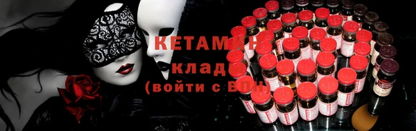 сатива Новозыбков