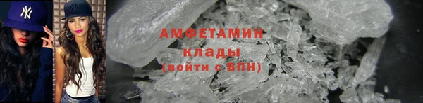 сатива Новозыбков