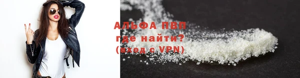 ПСИЛОЦИБИНОВЫЕ ГРИБЫ Новокубанск