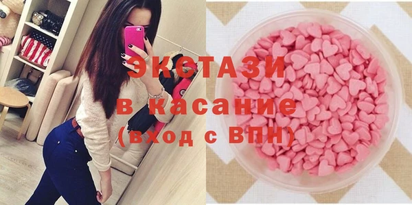 сатива Новозыбков