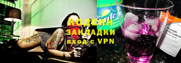 сатива Новозыбков