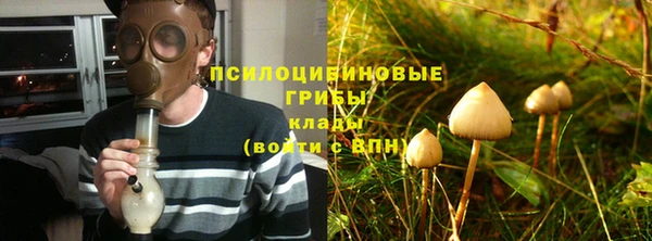 ПСИЛОЦИБИНОВЫЕ ГРИБЫ Новокубанск
