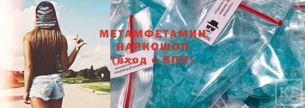 сатива Новозыбков