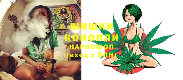 ПСИЛОЦИБИНОВЫЕ ГРИБЫ Новокубанск