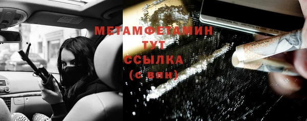 сатива Новозыбков