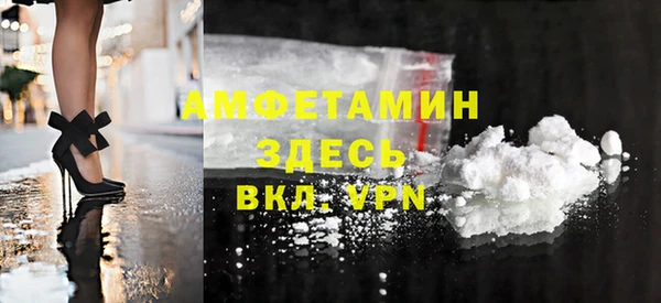 сатива Новозыбков